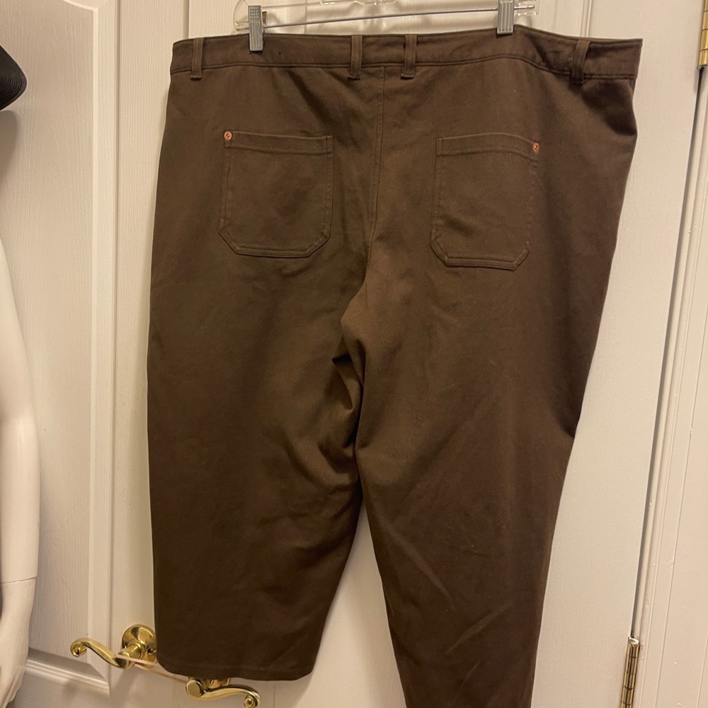 Avenue large long shorts. Size 22-24 chic & very comfy with zipper on two sides